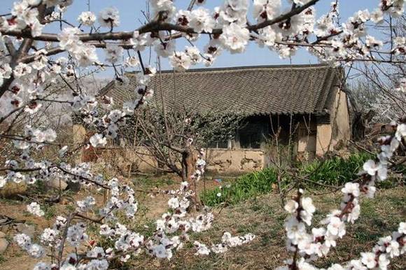 ȫ�������ӻ�������