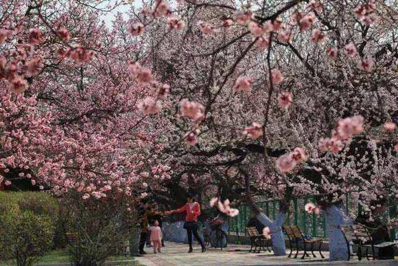 ȫ�������ӻ�������