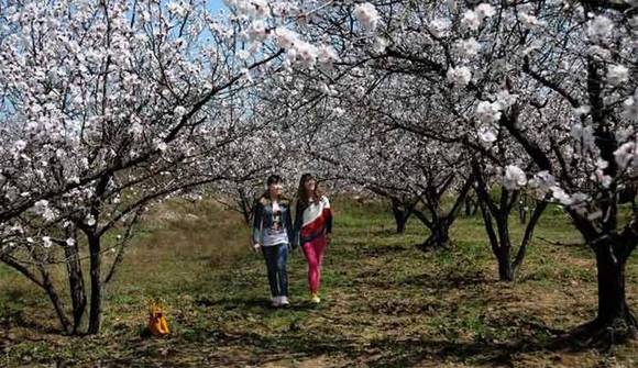 ȫ�������ӻ�������