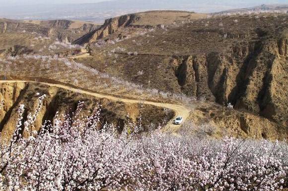 ȫ�������ӻ�������