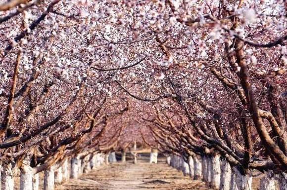 ȫ�������ӻ�������