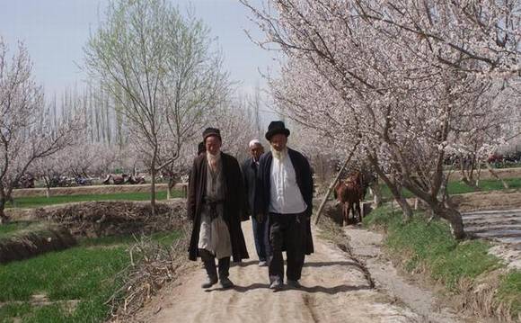 ȫ�������ӻ�������