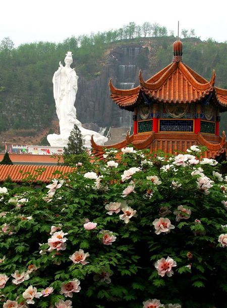 ɽ���ٷڹ���ĵ����