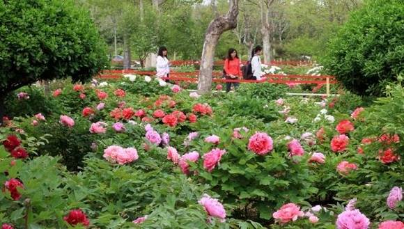 ɽ���ٷڹ���ĵ����