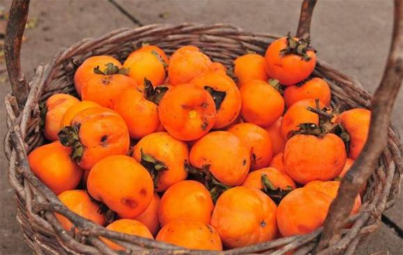 ˪����˪�����Ӳ����� Ѽ���ܲ��˽���