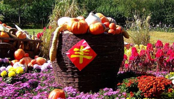 ���ϻ����³�һ�����