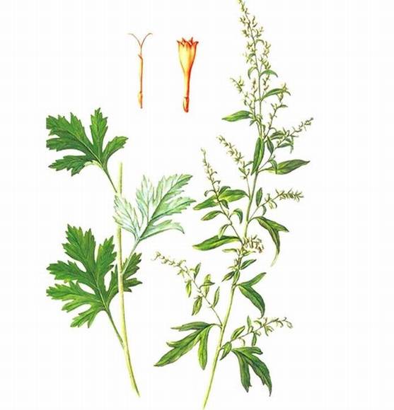 �㶫����ض��硰ϴԡ�ڡ�