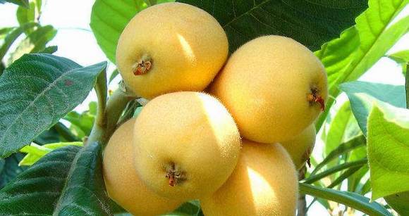 �Ĵ��������˽�