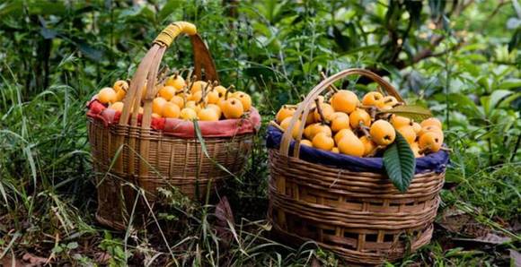 �Ĵ��������˽�