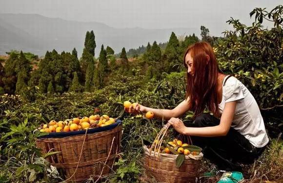 �Ĵ��������˽�