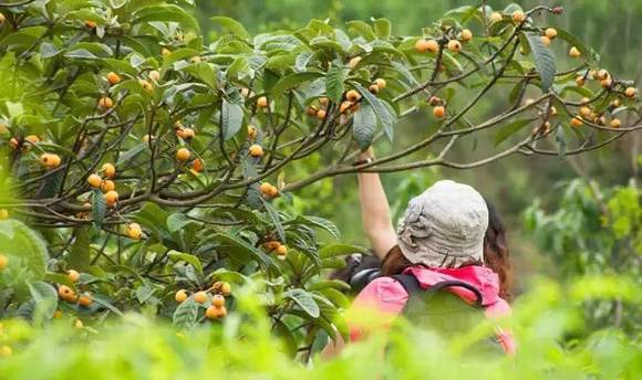 �Ĵ��������˽�