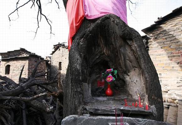 ��̨��·����ţ��̨����¶�����ĸ