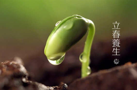 立春养生要注意些什么? 立春“老苏州”怎么过