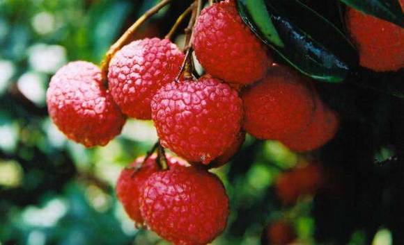 �����ˡ������