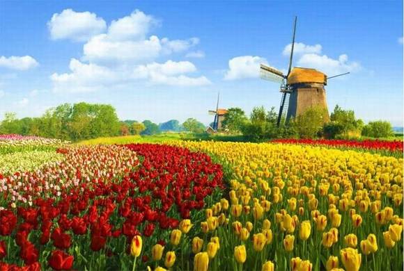 ����������ɫ