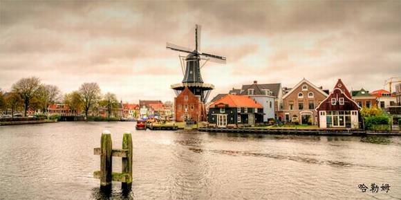 ����������ɫ