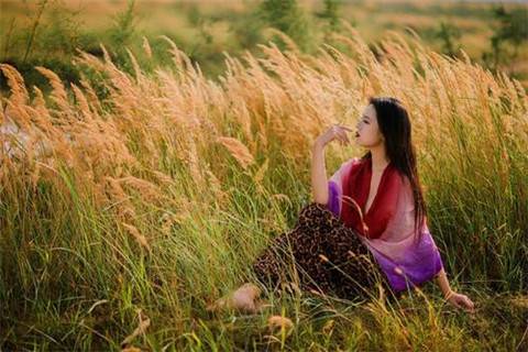 古诗中描写飞翔的诗