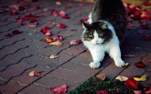 时间珍惜的诗句