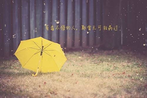 大雪纷飞的诗句