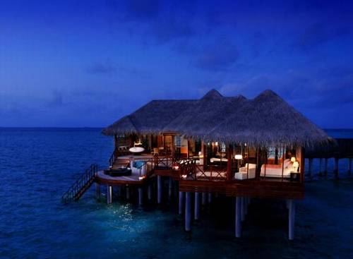 诗句的桃花诗句