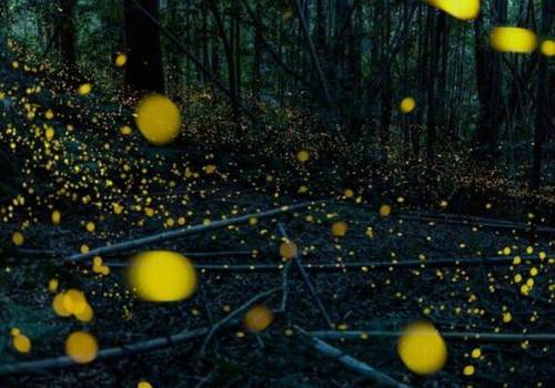 高中古诗默写专项