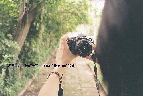 关于夏天的诗句是