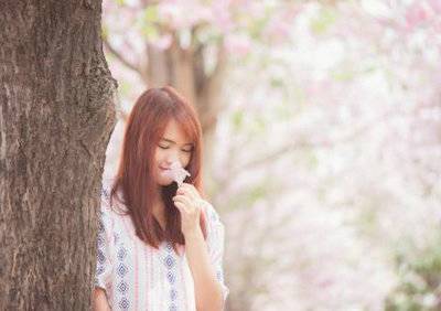 描写荷花是诗句