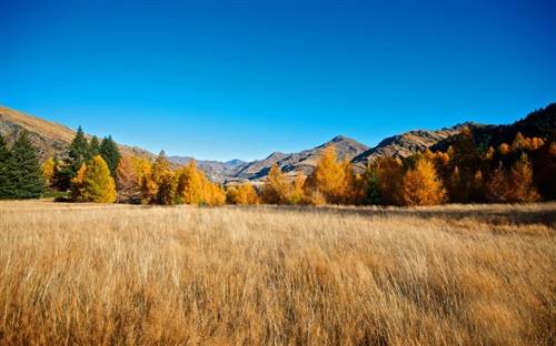 展猜字谜3个古诗