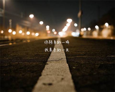 写松树的诗句古诗