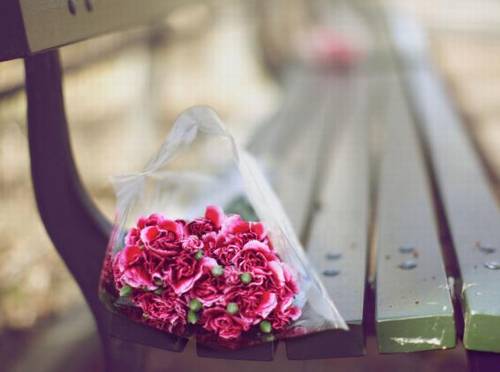 幸福爱情的诗句