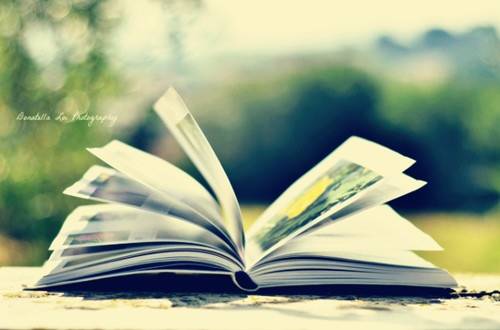 宁国石门导游词