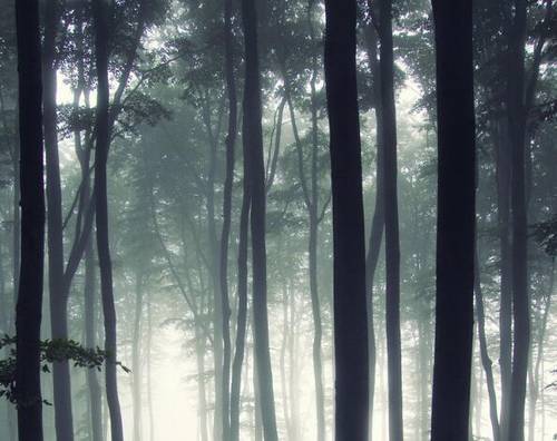 在字开头的七字诗句