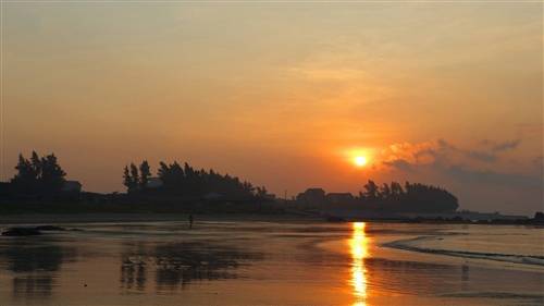 春天的诗句诗句