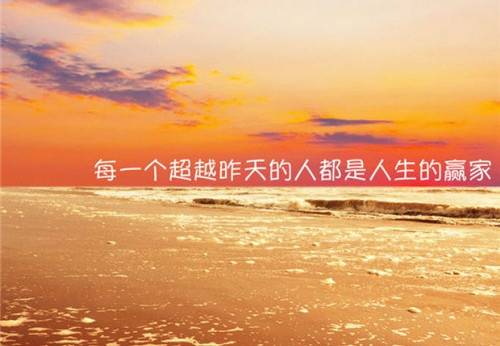 天鹅的唯美诗句