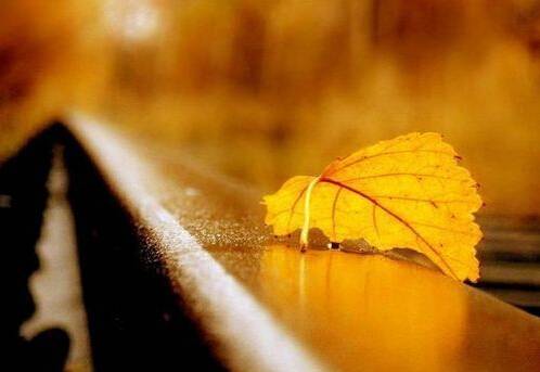 安吉三张名片导游词