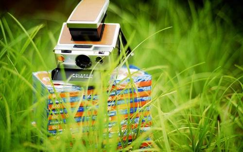 关于赞美樱桃的诗句