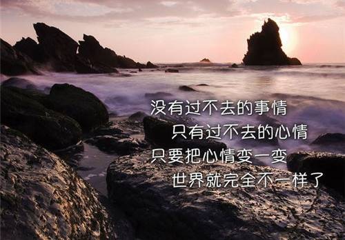 赞美满天星的诗句