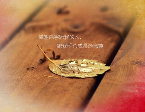 大明湖实地导游词