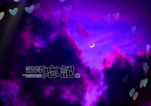 描写残花凋零的诗句