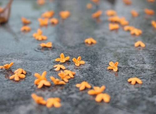 描写沉香最经典诗句