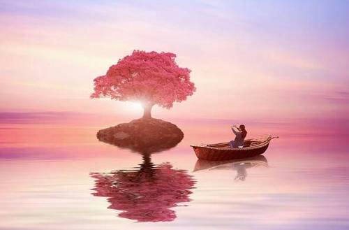 韶山英语导游词