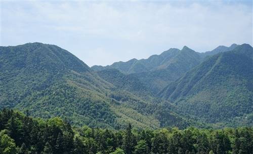 归隐终南山诗句