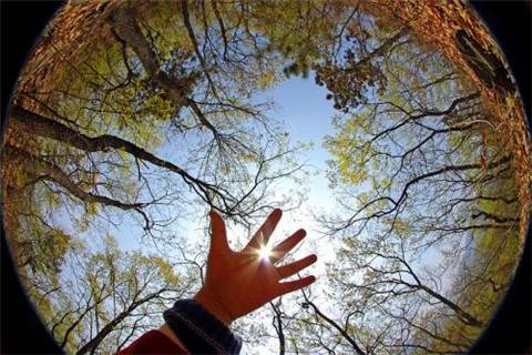 开平世界遗产导游词