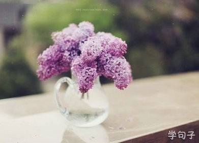 赞美退休生活的诗句