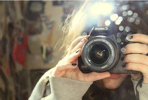 有关重阳的诗句