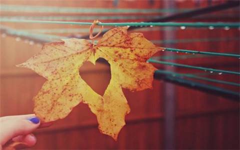 人教版八下语文古诗词