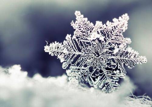 写秋天萧瑟的古诗