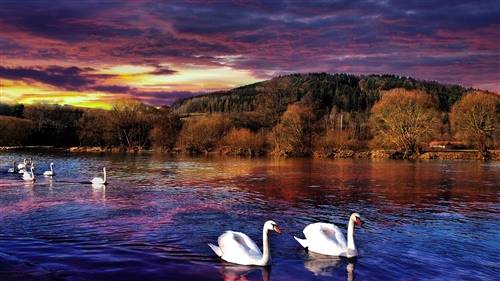 形容累了想休息的诗句