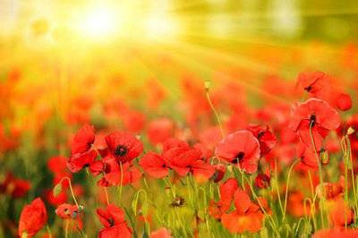 形容女子化妆的诗句