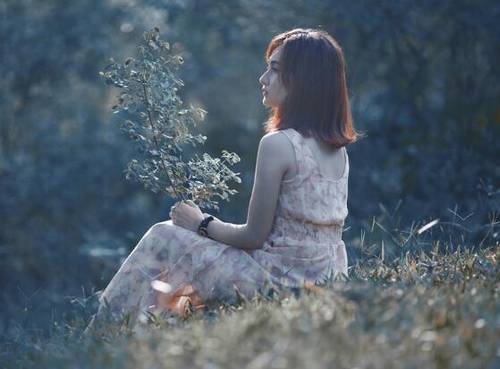 与猫有关的诗句